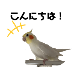[LINEスタンプ] セセリの日常
