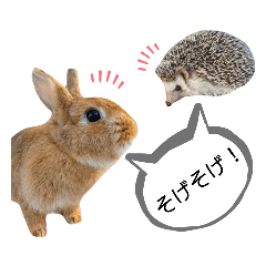 [LINEスタンプ] ひめぽたスタンプ【出雲弁編】
