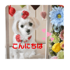 [LINEスタンプ] いつも元気なすあまちゃん