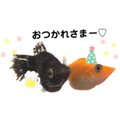 [LINEスタンプ] お魚さんたちの日常2
