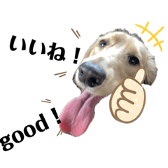 [LINEスタンプ] みろまろすたんぷ ぷらすあるふぁ