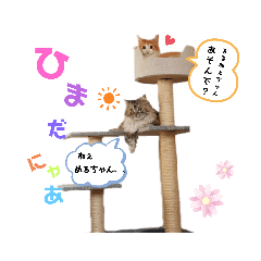 [LINEスタンプ] るる＆める姉妹