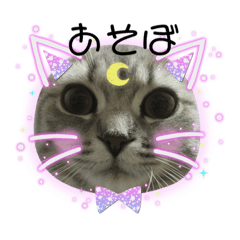 [LINEスタンプ] ぶんぶんももっち3