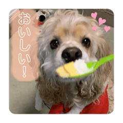[LINEスタンプ] ノエルさんすたんぷ！