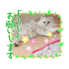 [LINEスタンプ] つーちゃんスタンプ2
