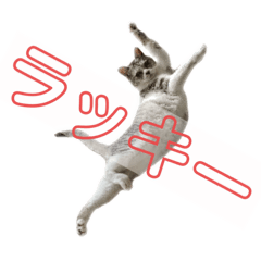 [LINEスタンプ] プラス思考なぺぺさん