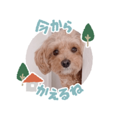 [LINEスタンプ] ロイちゃん！