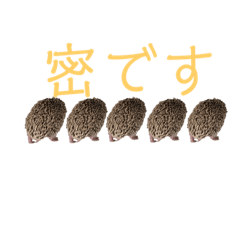 [LINEスタンプ] はりねずみで行こう。3