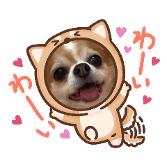[LINEスタンプ] チャロわん3