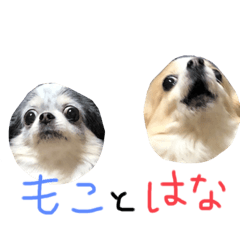 [LINEスタンプ] モコときどきハナ