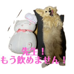 [LINEスタンプ] ぼのとむぎ