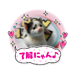 [LINEスタンプ] そらです。Sora