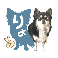 [LINEスタンプ] ジャビとココとコタロー