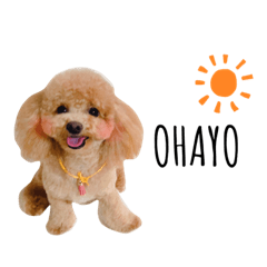 [LINEスタンプ] ちっちゃい子達の日常