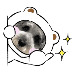 [LINEスタンプ] daily life シュナのじゅりちゃん2