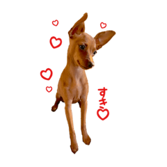 [LINEスタンプ] 困り顔momo かわいい編♡