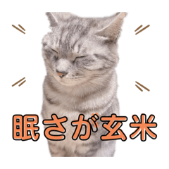 [LINEスタンプ] になはるちび Part2