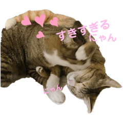[LINEスタンプ] になはるちび Part1