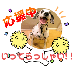 [LINEスタンプ] はな＆のあスタンプ