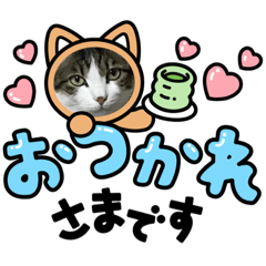 [LINEスタンプ] いろいろ使える、日常ネコちょこスタンプ2