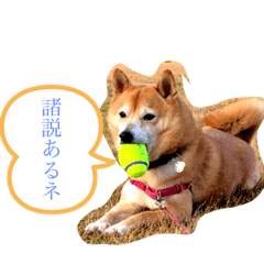 [LINEスタンプ] 平蔵のコメント