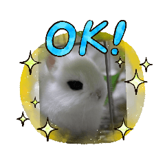 [LINEスタンプ] ホトがいっぱい