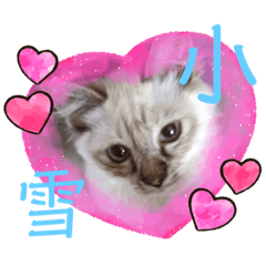 [LINEスタンプ] こゆたんスタンプ2