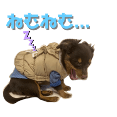 [LINEスタンプ] Chihuachs happy6