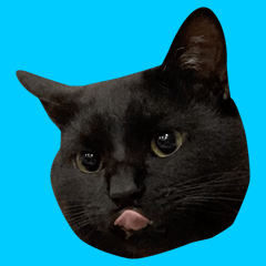 [LINEスタンプ] かわいい黒猫のレオ