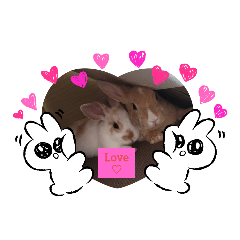 [LINEスタンプ] たっちゃんみっちゃん