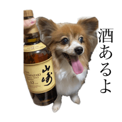 [LINEスタンプ] ジャンキーチャッピー