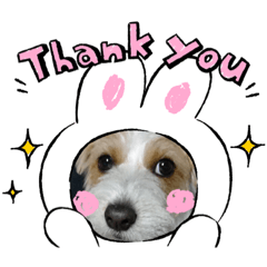 [LINEスタンプ] 「さら」のスタンプ