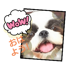 [LINEスタンプ] 愛しのもなタンⅢ