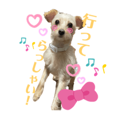 [LINEスタンプ] らき＆くーちゃん＆ぽちゃんスタンプ2