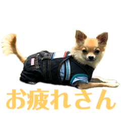 [LINEスタンプ] 小さな王様2