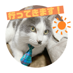 [LINEスタンプ] 野良猫だったハム❶