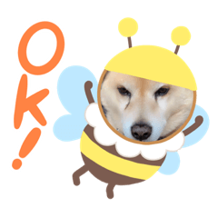 [LINEスタンプ] スタンプハチ