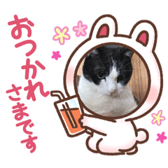[LINEスタンプ] 長沼ちちりくん