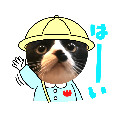 [LINEスタンプ] ミー介にゃおん3