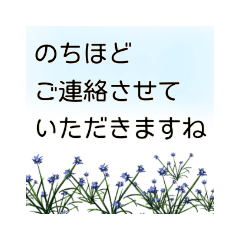 [LINEスタンプ] これ1つで万能 大人の女性の 使える敬語