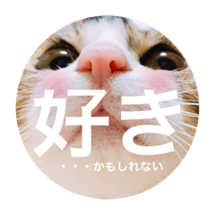 [LINEスタンプ] ・・・かもしれない