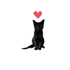 [LINEスタンプ] ヌッコとイッヌ