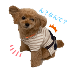 [LINEスタンプ] サラン24個セットvo1
