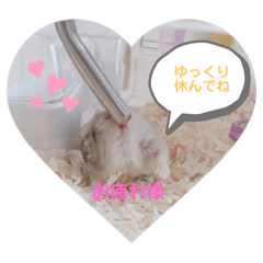 [LINEスタンプ] ぷぷちゃんの1日