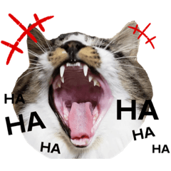 [LINEスタンプ] 仲良し兄妹のぷぅとベティ*♬*̣̥