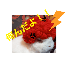 [LINEスタンプ] 夢うさぎ