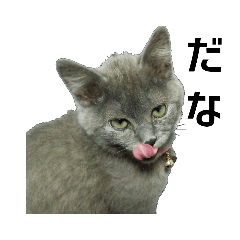 [LINEスタンプ] 犬と猫、ムカつき可愛い時々コワい2.0