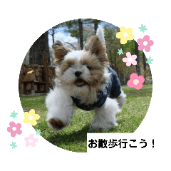 [LINEスタンプ] ぽお太郎君日常スタンプ