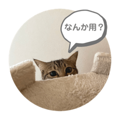 [LINEスタンプ] おとたんの日常スタンプ
