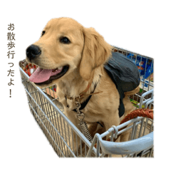 [LINEスタンプ] Living with ELLE.